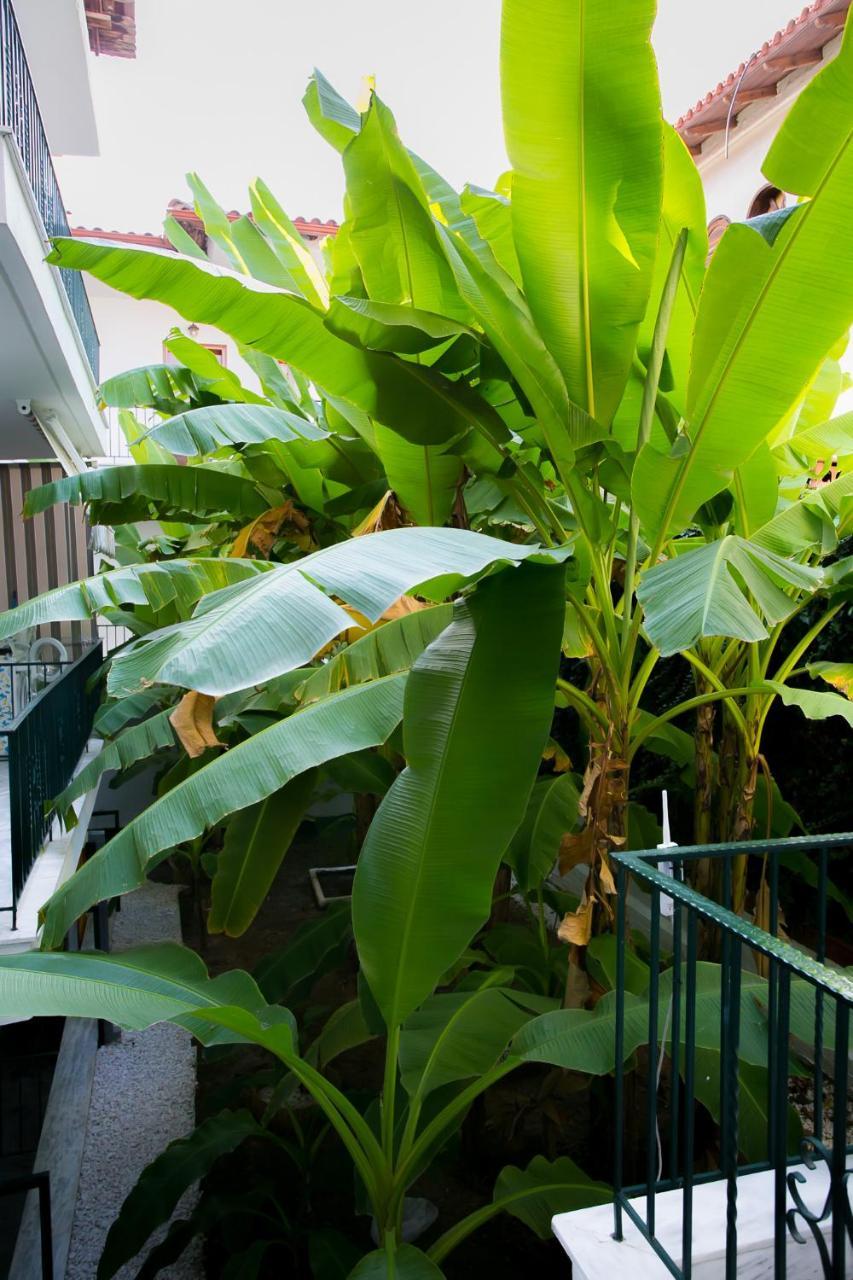 Panorama Apartments Flogita Luaran gambar