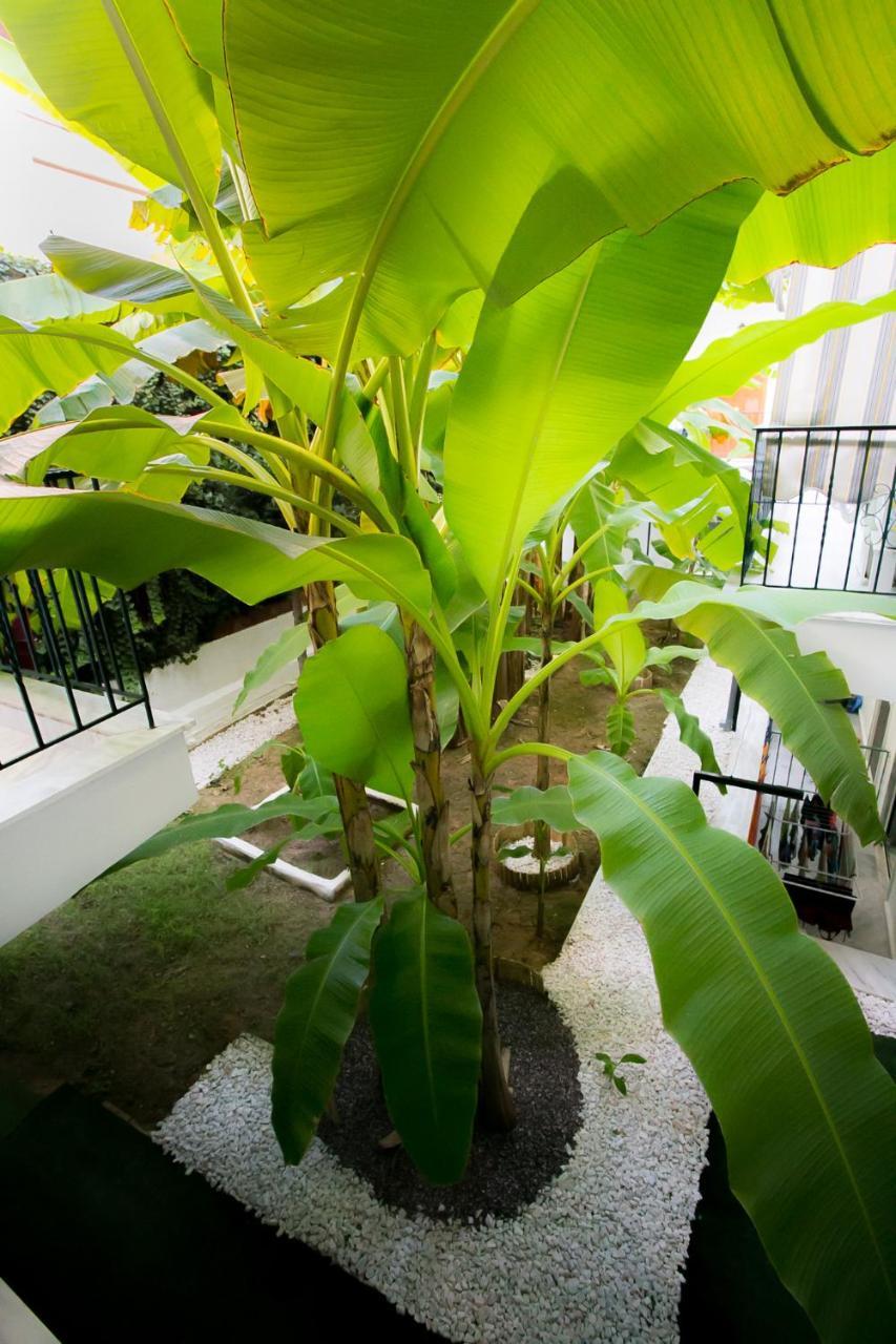 Panorama Apartments Flogita Luaran gambar
